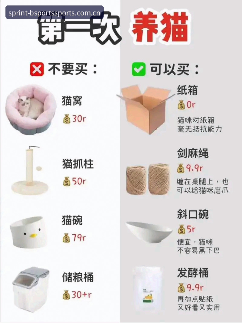 新手必看！BSports体育平台注册安装全流程经验分享，王哥亲测靠谱